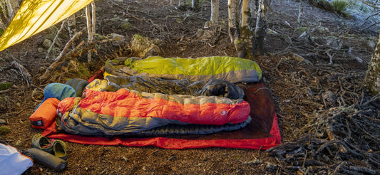 Domex Halo 2 Pinnacle NZ