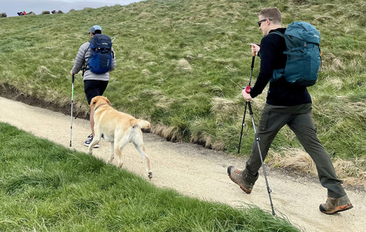 Choosing the Right Hiking Poles for Your Style of Adventure