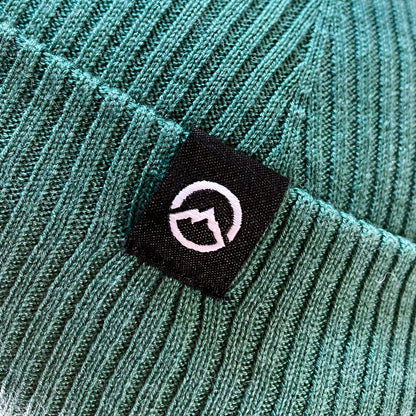Polar Beanie